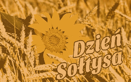 Słonecznik dzień sołtysa